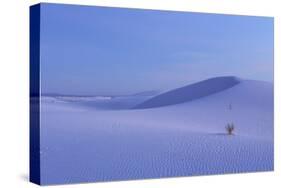 View of gypsum dunes at sunset, White Sands National Monument, New Mexico, USA-Mark Sisson-Stretched Canvas