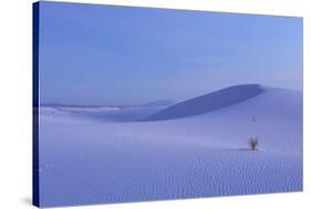 View of gypsum dunes at sunset, White Sands National Monument, New Mexico, USA-Mark Sisson-Stretched Canvas