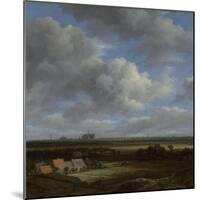 View of Haarlem from the Northwest with the Bleaching Fields in the Foreground, C.1650-82-Jacob Isaaksz Ruisdael-Mounted Giclee Print