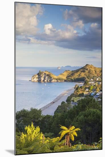 View of Hahei Beach, Coromandel Peninsula, North Island, New Zealand-Ian Trower-Mounted Photographic Print