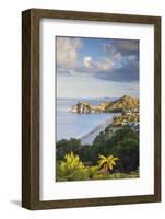 View of Hahei Beach, Coromandel Peninsula, North Island, New Zealand-Ian Trower-Framed Photographic Print