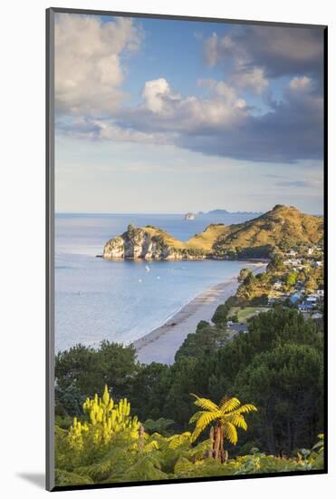 View of Hahei Beach, Coromandel Peninsula, North Island, New Zealand-Ian Trower-Mounted Photographic Print