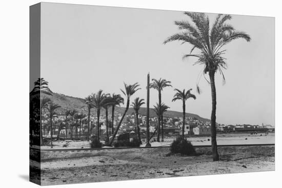 View of Haifa Through Palms-null-Stretched Canvas