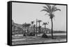 View of Haifa Through Palms-null-Framed Stretched Canvas