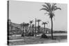 View of Haifa Through Palms-null-Stretched Canvas