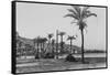 View of Haifa Through Palms-null-Framed Stretched Canvas