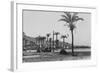 View of Haifa Through Palms-null-Framed Photographic Print