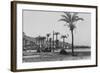 View of Haifa Through Palms-null-Framed Photographic Print