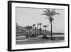 View of Haifa Through Palms-null-Framed Photographic Print