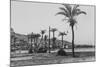 View of Haifa Through Palms-null-Mounted Photographic Print