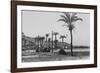 View of Haifa Through Palms-null-Framed Photographic Print