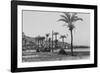 View of Haifa Through Palms-null-Framed Photographic Print