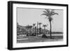 View of Haifa Through Palms-null-Framed Photographic Print