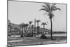 View of Haifa Through Palms-null-Mounted Photographic Print