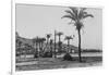 View of Haifa Through Palms-null-Framed Photographic Print