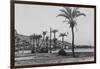 View of Haifa Through Palms-null-Framed Photographic Print