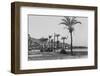 View of Haifa Through Palms-null-Framed Photographic Print