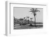 View of Haifa Through Palms-null-Framed Photographic Print