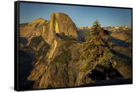 View of Half Dome from Glacier Point at sunset, Yosemite National Park, California-Adam Jones-Framed Stretched Canvas