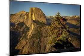 View of Half Dome from Glacier Point at sunset, Yosemite National Park, California-Adam Jones-Mounted Photographic Print