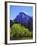 View of Half Dome Rock and Merced River, Yosemite National Park, California, Usa-Dennis Flaherty-Framed Photographic Print