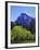 View of Half Dome Rock and Merced River, Yosemite National Park, California, Usa-Dennis Flaherty-Framed Photographic Print