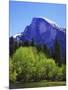 View of Half Dome Rock and Merced River, Yosemite National Park, California, Usa-Dennis Flaherty-Mounted Photographic Print