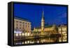 View of Hamburg City Hall - Germany-Leonid Andronov-Framed Stretched Canvas