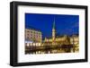 View of Hamburg City Hall - Germany-Leonid Andronov-Framed Photographic Print