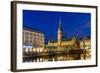 View of Hamburg City Hall - Germany-Leonid Andronov-Framed Photographic Print