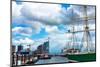 View of Hamburg Harbor from the Landungsbruecken, Germany-Moskwa-Mounted Photographic Print