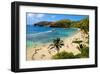 View of Hanauma Bay, Island of Oahu, Hawaii, USA-null-Framed Art Print