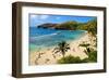 View of Hanauma Bay, Island of Oahu, Hawaii, USA-null-Framed Art Print