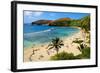 View of Hanauma Bay, Island of Oahu, Hawaii, USA-null-Framed Art Print