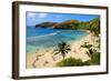 View of Hanauma Bay, Island of Oahu, Hawaii, USA-null-Framed Art Print