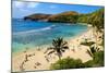 View of Hanauma Bay, Island of Oahu, Hawaii, USA-null-Mounted Art Print