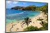 View of Hanauma Bay, Island of Oahu, Hawaii, USA-null-Mounted Art Print