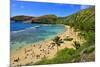 View of Hanauma Bay, Island of Oahu, Hawaii, USA-null-Mounted Art Print