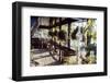 View of Hanging Plants on the Deck of a Floating Home, Sausalito, CA, 1971-Michael Rougier-Framed Photographic Print