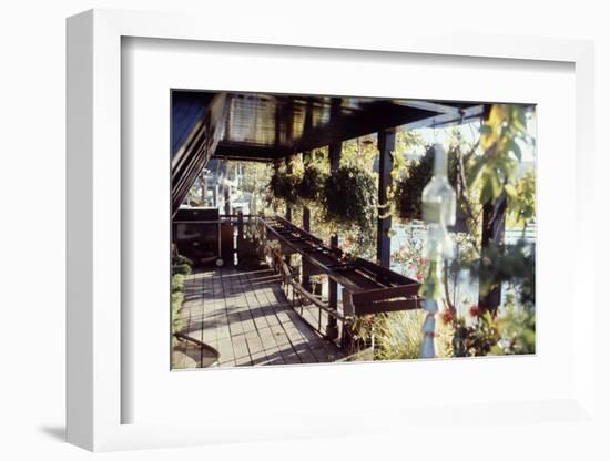 View of Hanging Plants on the Deck of a Floating Home, Sausalito, CA, 1971-Michael Rougier-Framed Photographic Print