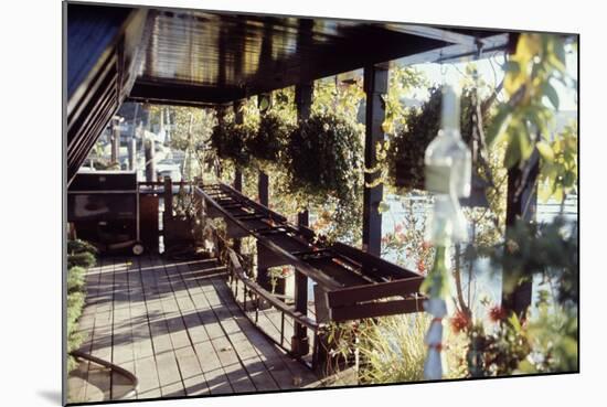 View of Hanging Plants on the Deck of a Floating Home, Sausalito, CA, 1971-Michael Rougier-Mounted Photographic Print