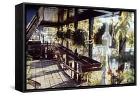 View of Hanging Plants on the Deck of a Floating Home, Sausalito, CA, 1971-Michael Rougier-Framed Stretched Canvas