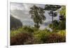 View of harbor, Ganges, British Columbia, Canada-Chuck Haney-Framed Photographic Print