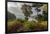 View of harbor, Ganges, British Columbia, Canada-Chuck Haney-Framed Photographic Print