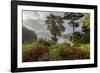 View of harbor, Ganges, British Columbia, Canada-Chuck Haney-Framed Photographic Print