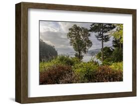 View of harbor, Ganges, British Columbia, Canada-Chuck Haney-Framed Photographic Print