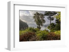 View of harbor, Ganges, British Columbia, Canada-Chuck Haney-Framed Photographic Print