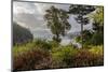 View of harbor, Ganges, British Columbia, Canada-Chuck Haney-Mounted Photographic Print