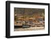 View of harbour and boats and church at Cannigione, Cannigione, Sardinia, Italy, Mediterranean-Frank Fell-Framed Photographic Print