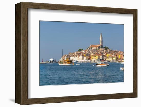 View of harbour and the old town with the Cathedral of St. Euphemia, Rovinj, Istria, Croatia-Frank Fell-Framed Photographic Print